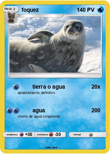 Pokemon foquez