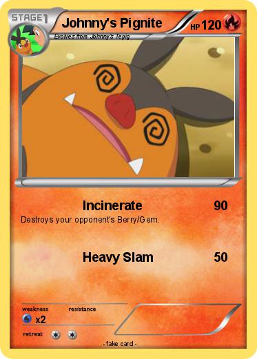 Pokemon Johnny's Pignite