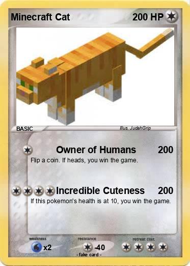 Pokemon Minecraft Cat