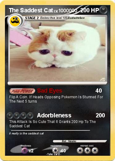 Pokemon The Saddest Cat