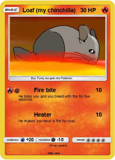 Pokemon Loaf (my chinchilla)