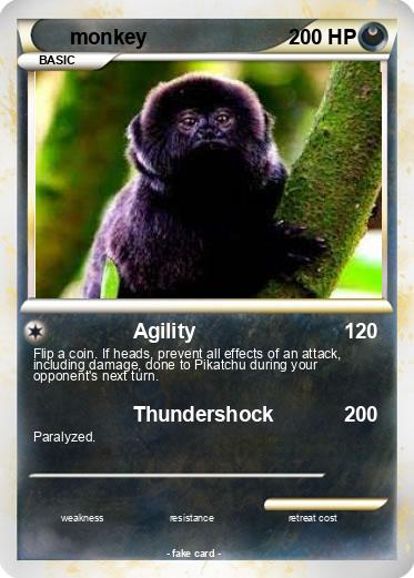 Pokemon monkey