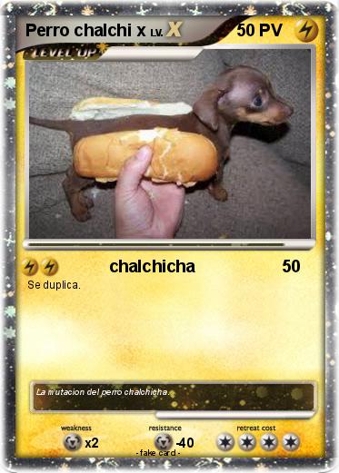 Pokemon Perro chalchi x