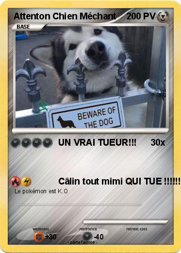 Pokemon Attenton Chien Méchant