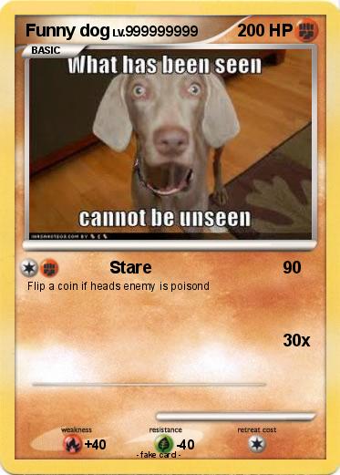 Pokemon Funny dog