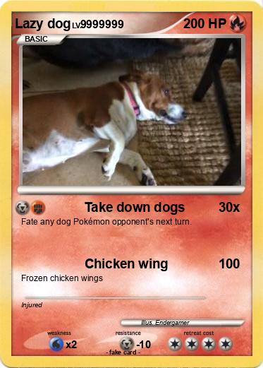 Pokemon Lazy dog
