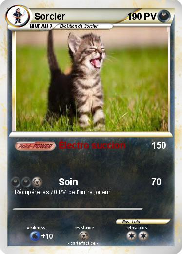 Pokemon Sorcier