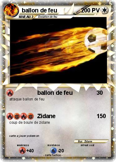Pokemon ballon de feu