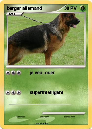Pokemon berger allemand