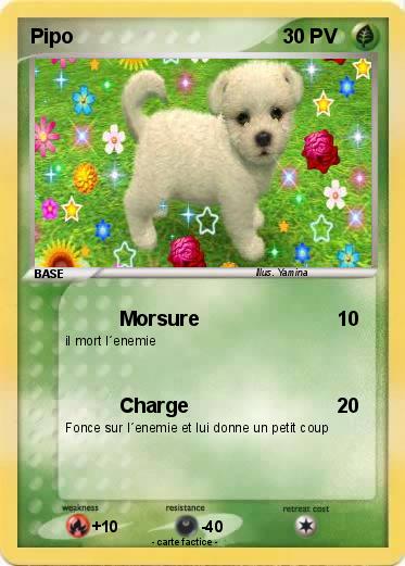 Pokemon Pipo