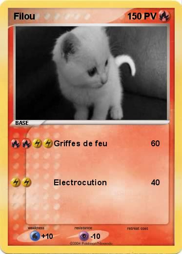 Pokemon Filou