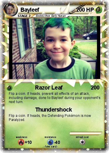 Pokemon Bayleef