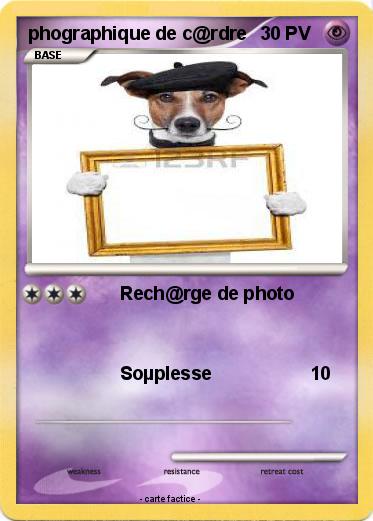 Pokemon phographique de c@rdre