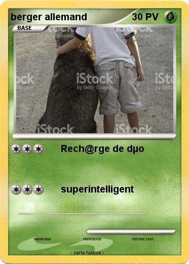 Pokemon berger allemand