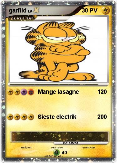 Pokemon garfild