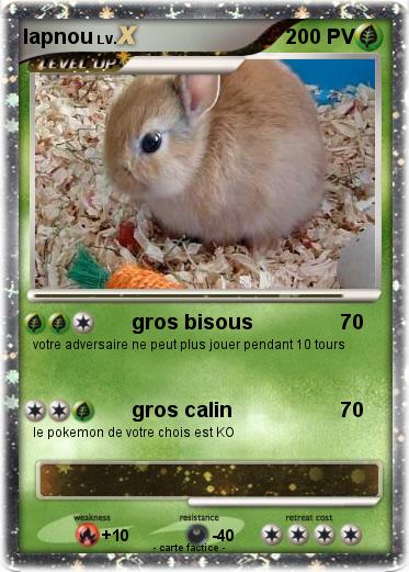 Pokemon lapnou