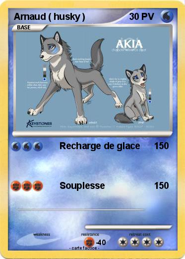 Pokemon Arnaud ( husky )