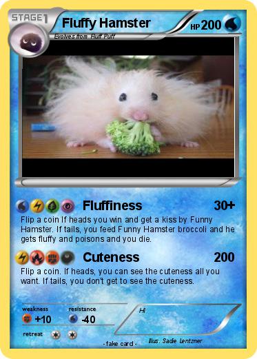 Pokemon Fluffy Hamster