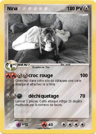 Pokemon Nina