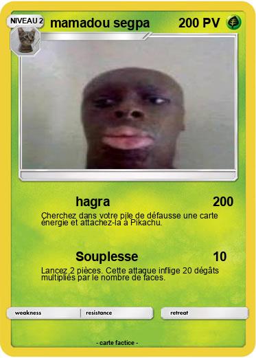Pokemon mamadou segpa