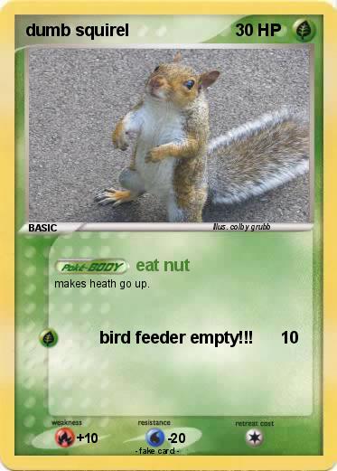 Pokemon dumb squirel