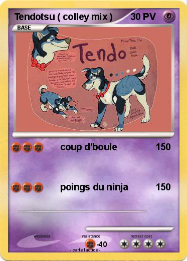 Pokemon Tendotsu ( colley mix )