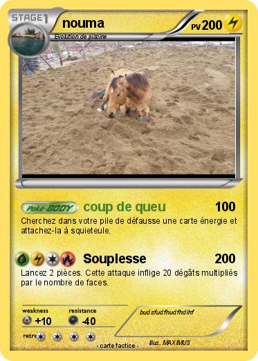 Pokemon nouma