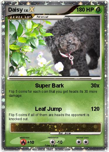 Pokemon Daisy