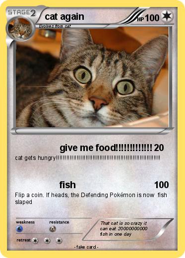 Pokemon cat again