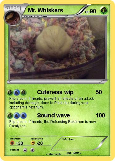 Pokemon Mr. Whiskers