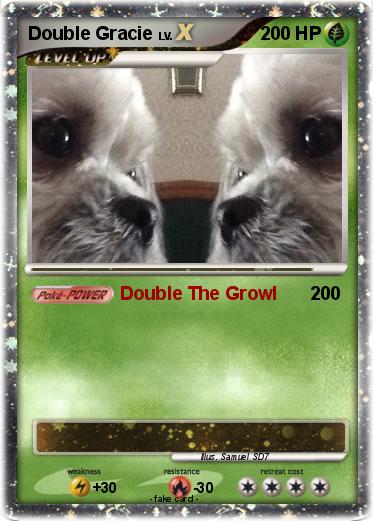 Pokemon Double Gracie