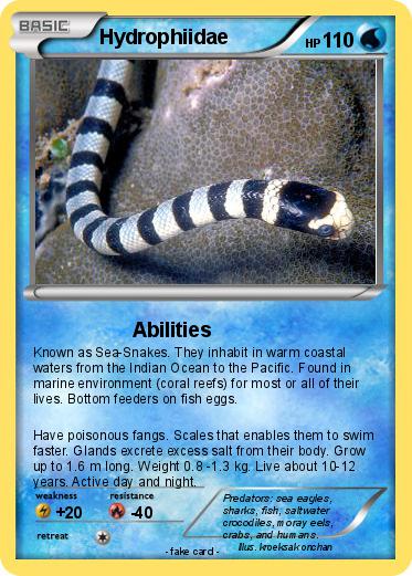 Pokemon Hydrophiidae