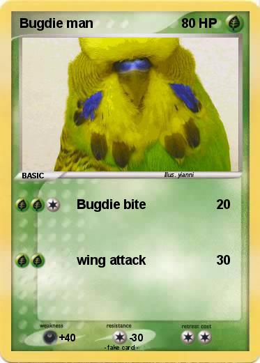 Pokemon Bugdie man