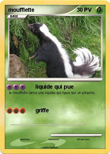 Pokemon moufflette