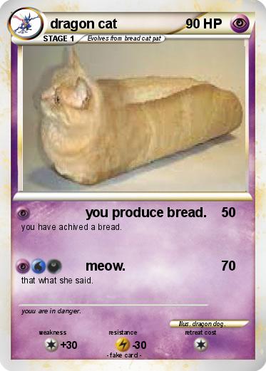 Pokemon dragon cat