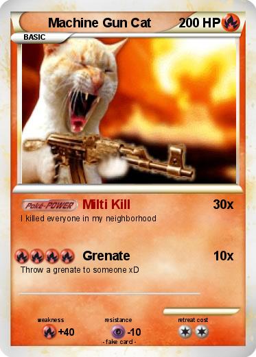 Pokemon Machine Gun Cat