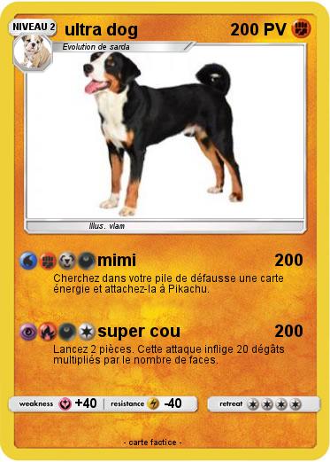 Pokemon ultra dog