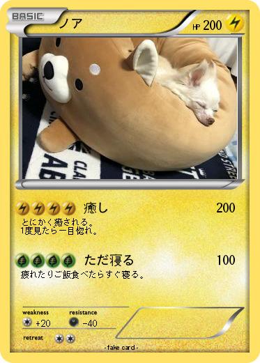 Pokemon ノア