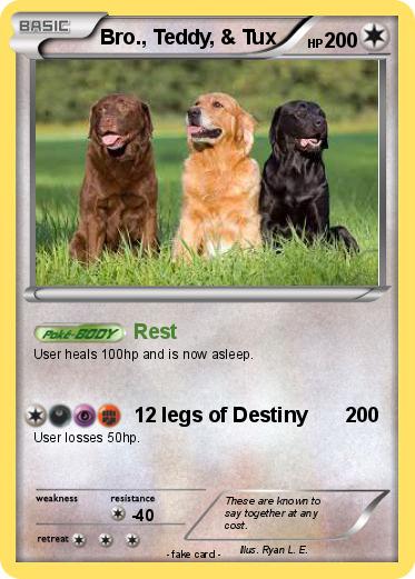 Pokemon Bro., Teddy, & Tux