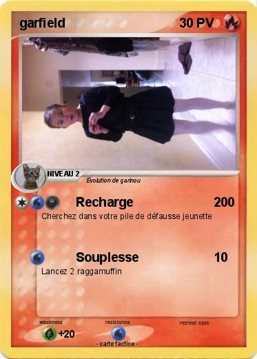 Pokemon garfield