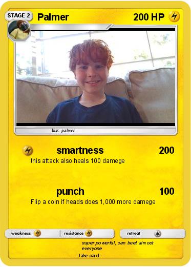 Pokemon Palmer