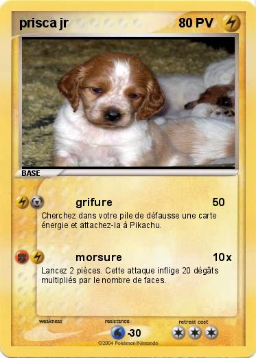 Pokemon prisca jr