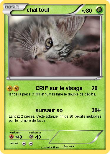 Pokemon chat tout