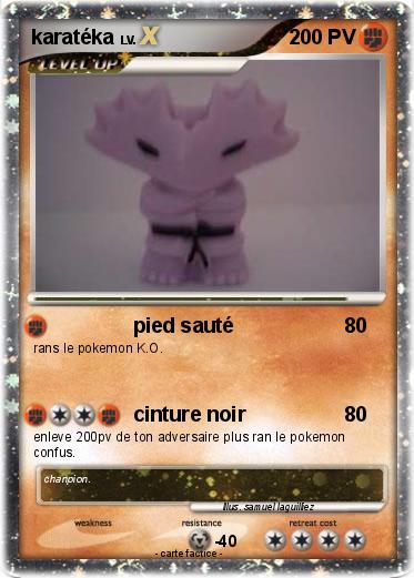 Pokemon karatéka