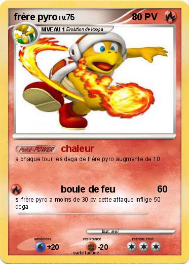 Pokemon frère pyro