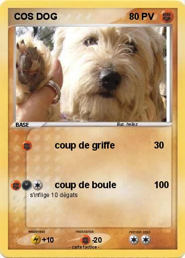 Pokemon COS DOG