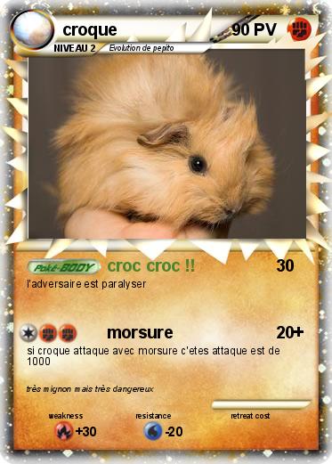 Pokemon croque