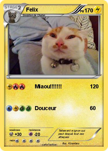Pokemon Felix