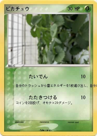 Pokemon ピカチュウ