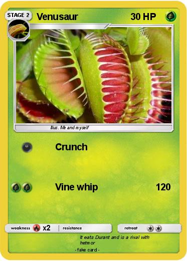 Pokemon Venusaur